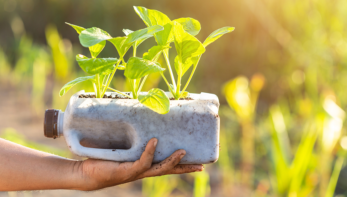 Biopolímeros y Reciclaje de Plasticos